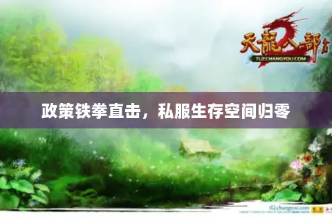 政策铁拳直击,私服生存空间归零 政策铁拳直击,私服生存空间归零