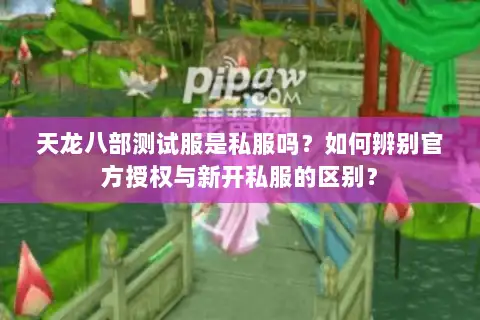天龙八部测试服是私服吗？如何辨别官方授权与新开私服的区别？
