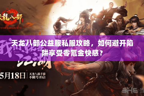 天龙八部公益服私服攻略，如何避开陷阱享受零氪金快感？