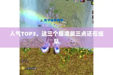 人气TOP3,这三个服凌晨三点还在组队 人气TOP3,这三个服凌晨三点还在组队