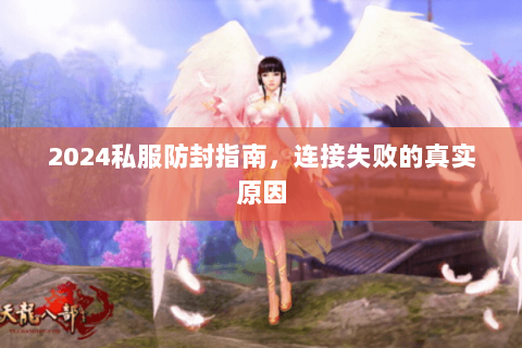 2024私服防封指南，连接失败的真实原因
