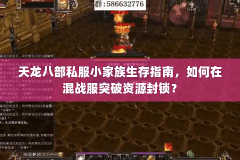 天龙八部私服小家族生存指南,如何在混战服突破资源封锁? 天龙八部私服小家族生存指南,如何在混战服突破资源封锁?