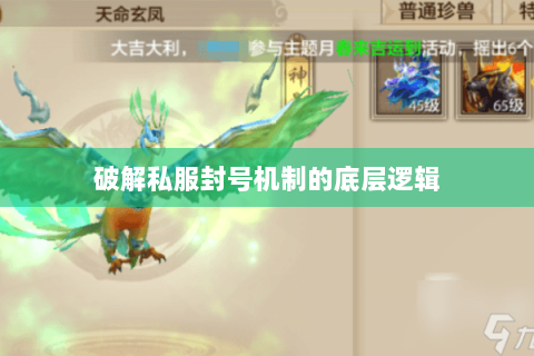 破解私服封号机制的底层逻辑