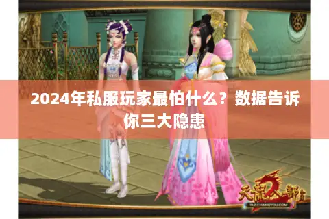 2024年私服玩家最怕什么？数据告诉你三大隐患