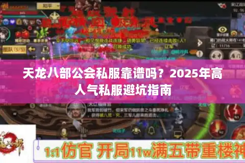 天龙八部公会私服靠谱吗？2025年高人气私服避坑指南