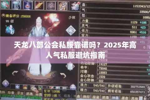 天龙八部公会私服靠谱吗？2025年高人气私服避坑指南