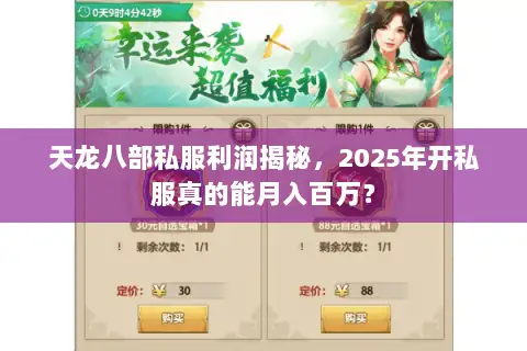 天龙八部私服利润揭秘，2025年开私服真的能月入百万？