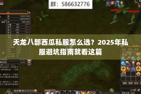 天龙八部西瓜私服怎么选？2025年私服避坑指南就看这篇