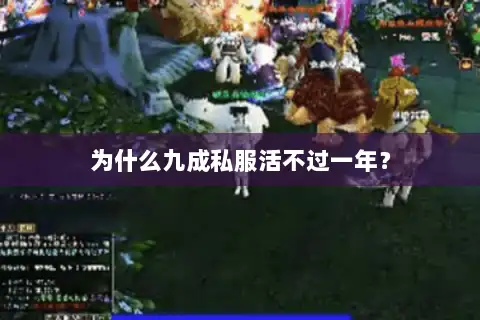 为什么九成私服活不过一年? 为什么九成私服活不过一年?