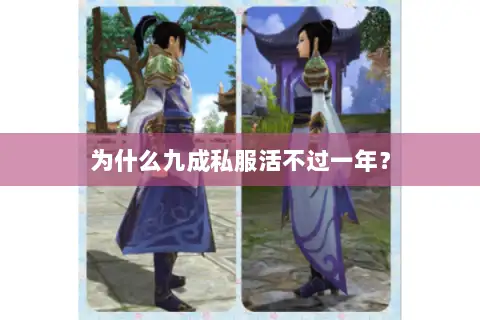 为什么九成私服活不过一年? 为什么九成私服活不过一年?