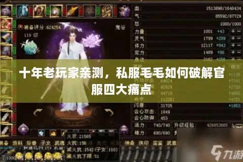 十年老玩家亲测,私服毛毛如何破解官服四大痛点 十年老玩家亲测,私服毛毛如何破解官服四大痛点