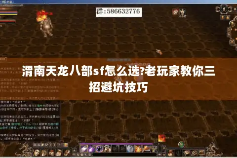 渭南天龙八部sf怎么选?老玩家教你三招避坑技巧 渭南天龙八部sf怎么选?老玩家教你三招避坑技巧