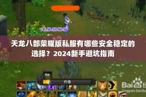 天龙八部荣耀版私服有哪些安全稳定的选择？2024新手避坑指南