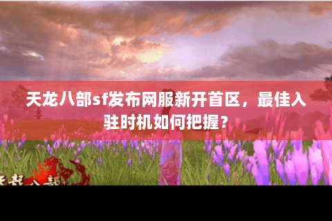 天龙八部sf发布网服新开首区，最佳入驻时机如何把握？