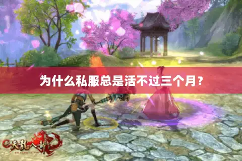 为什么私服总是活不过三个月？