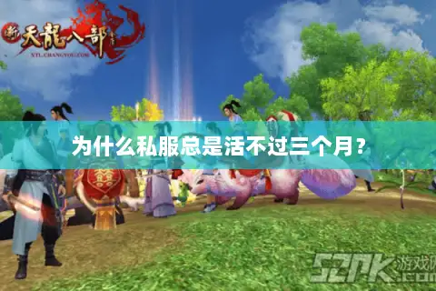 为什么私服总是活不过三个月？
