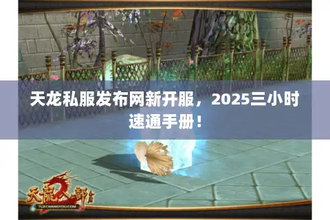 天龙私服发布网新开服，2025三小时速通手册！