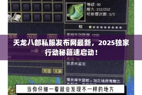 天龙八部私服发布网最新，2025独家行动秘籍速启动！