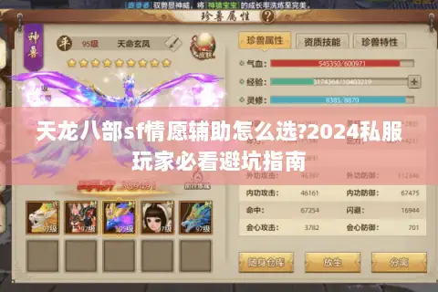 天龙八部sf情愿辅助怎么选?2024私服玩家必看避坑指南