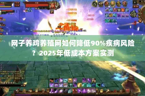 网子养鸡养殖网如何降低90%疾病风险?2025年低成本方案实测 网子养鸡养殖网如何降低90%疾病风险?2025年低成本方案实测