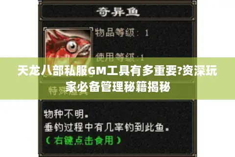 天龙八部私服GM工具有多重要?资深玩家必备管理秘籍揭秘