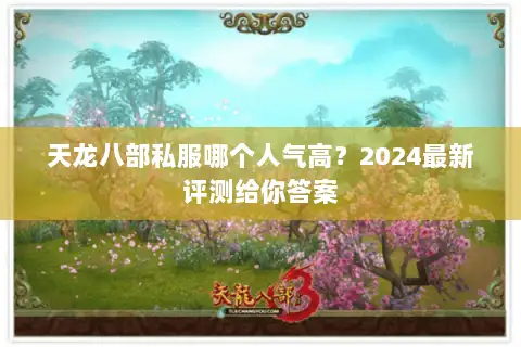 天龙八部私服哪个人气高？2024最新评测给你答案