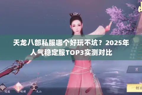天龙八部私服哪个好玩不坑？2025年人气稳定服TOP3实测对比