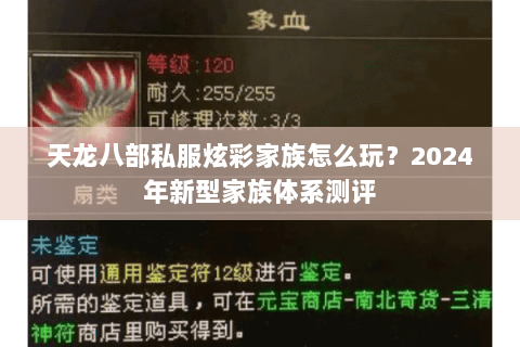 天龙八部私服炫彩家族怎么玩?2024年新型家族体系测评 天龙八部私服炫彩家族怎么玩?2024年新型家族体系测评