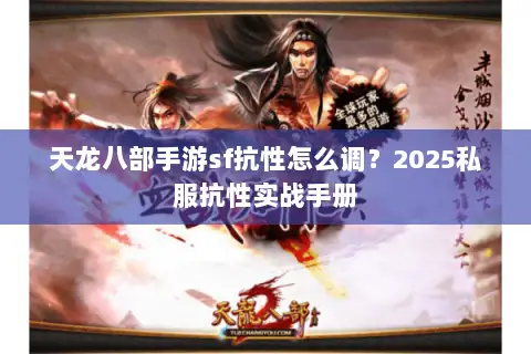 天龙八部手游sf抗性怎么调？2025私服抗性实战手册