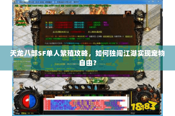 天龙八部SF单人繁殖攻略,如何独闯江湖实现宠物自由? 天龙八部SF单人繁殖攻略,如何独闯江湖实现宠物自由?