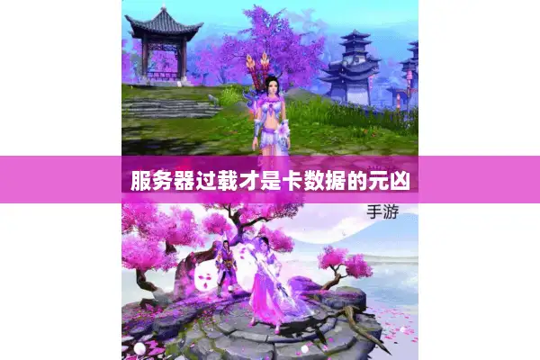 服务器过载才是卡数据的元凶