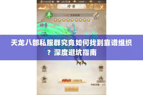 天龙八部私服群究竟如何找到靠谱组织？深度避坑指南