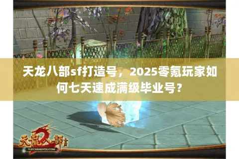 天龙八部sf打造号，2025零氪玩家如何七天速成满级毕业号？