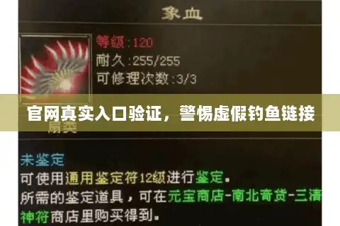 官网真实入口验证，警惕虚假钓鱼链接