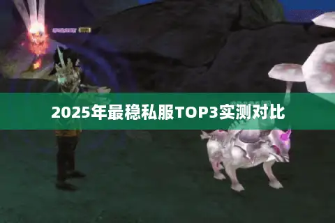 2025年最稳私服TOP3实测对比