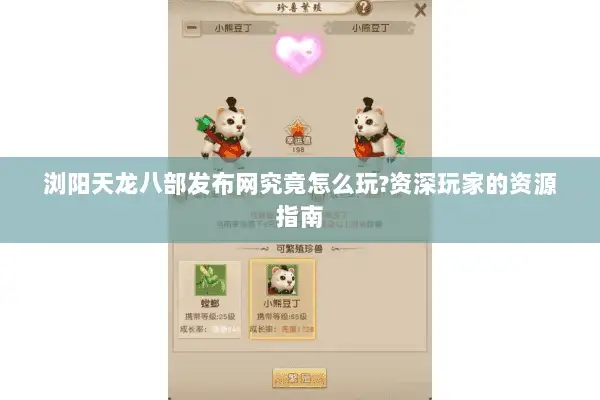 浏阳天龙八部发布网究竟怎么玩?资深玩家的资源指南