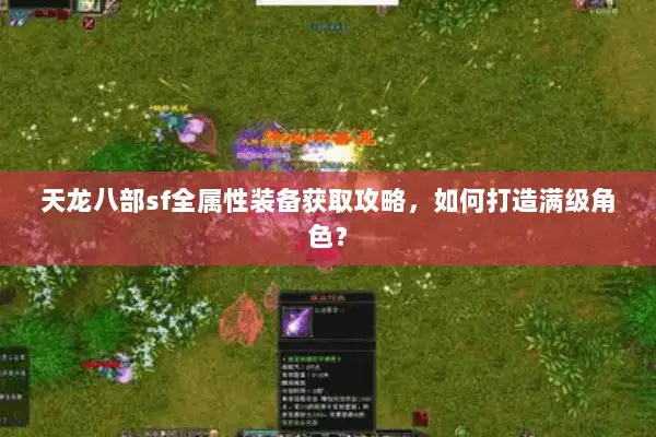 天龙八部sf全属性装备获取攻略，如何打造满级角色？