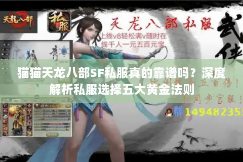 猫猫天龙八部SF私服真的靠谱吗?深度解析私服选择五大黄金法则 猫猫天龙八部SF私服真的靠谱吗?深度解析私服选择五大黄金法则