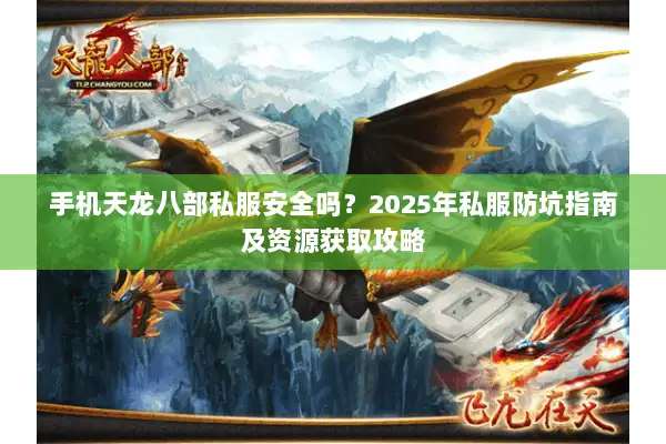手机天龙八部私服安全吗？2025年私服防坑指南及资源获取攻略