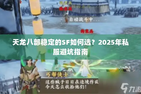 天龙八部稳定的SF如何选？2025年私服避坑指南