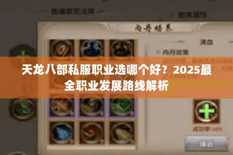 天龙八部私服职业选哪个好？2025最全职业发展路线解析