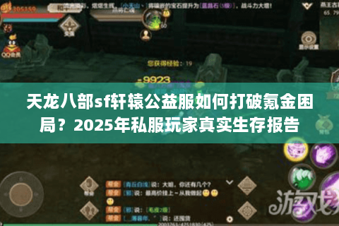 天龙八部sf轩辕公益服如何打破氪金困局？2025年私服玩家真实生存报告
