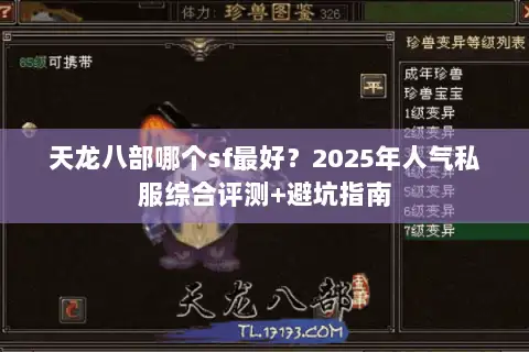 天龙八部哪个sf最好？2025年人气私服综合评测+避坑指南