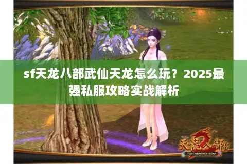 sf天龙八部武仙天龙怎么玩？2025最强私服攻略实战解析