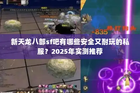 新天龙八部sf吧有哪些安全又耐玩的私服？2025年实测推荐