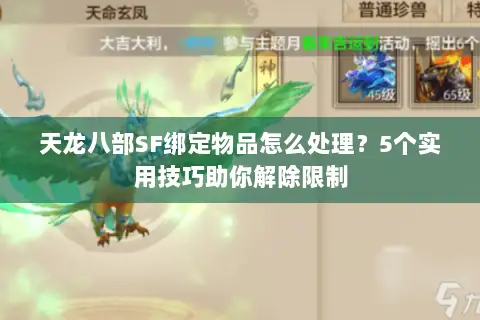 天龙八部SF绑定物品怎么处理？5个实用技巧助你解除限制