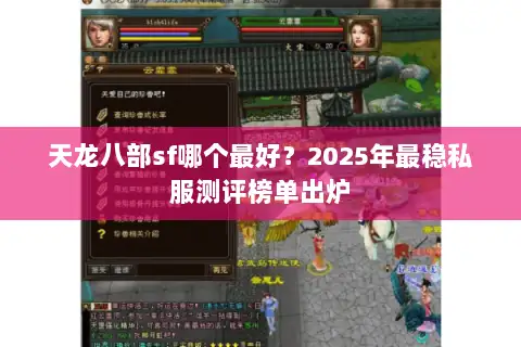 天龙八部sf哪个最好?2025年最稳私服测评榜单出炉 天龙八部sf哪个最好?2025年最稳私服测评榜单出炉