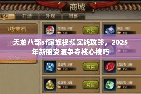 天龙八部sf家族视频实战攻略，2025年新服资源争夺核心技巧
