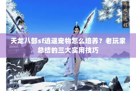 天龙八部sf逍遥宠物怎么培养?老玩家总结的三大实用技巧 天龙八部sf逍遥宠物怎么培养?老玩家总结的三大实用技巧
