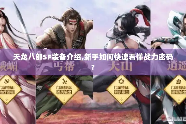 天龙八部SF装备介绍,新手如何快速看懂战力密码? 天龙八部SF装备介绍,新手如何快速看懂战力密码?